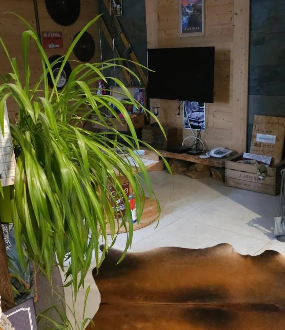 Spa Dans Les Alpes Desingy Apartment
